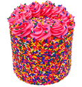 Sprinkle Mini Cake
